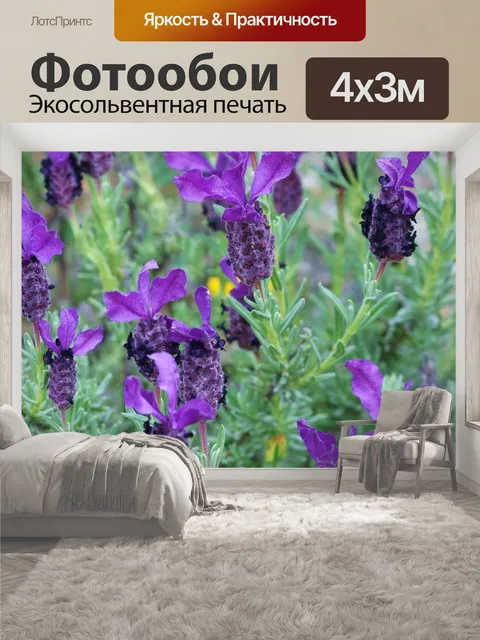 400 × 300 см · Экосольвентная печать