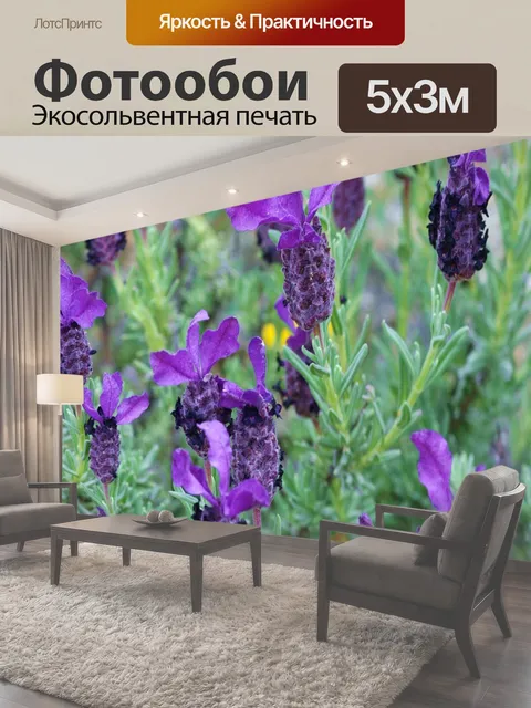 500 × 300 см · Экосольвентная печать