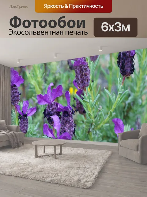 600 × 300 см · Экосольвентная печать