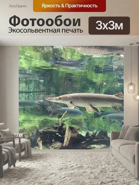Фотообои Щука, рыбы, природа