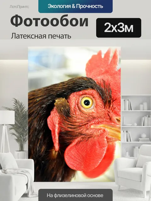 200 × 300 см · Латексная печать