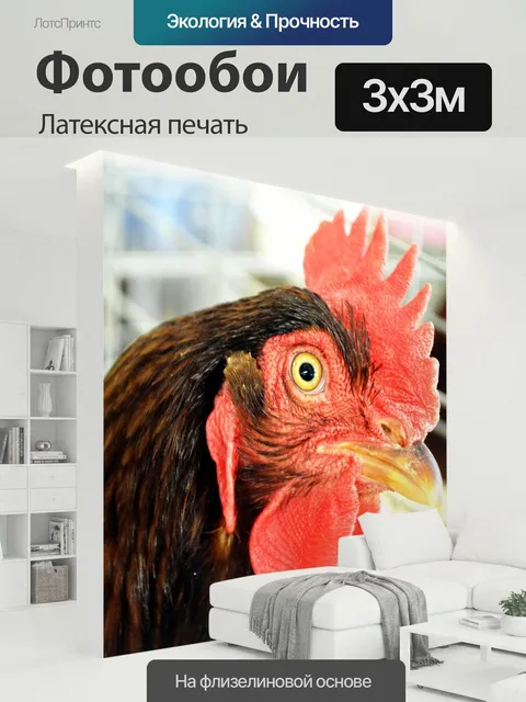 300 × 300 см · Латексная печать