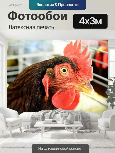 400 × 300 см · Латексная печать