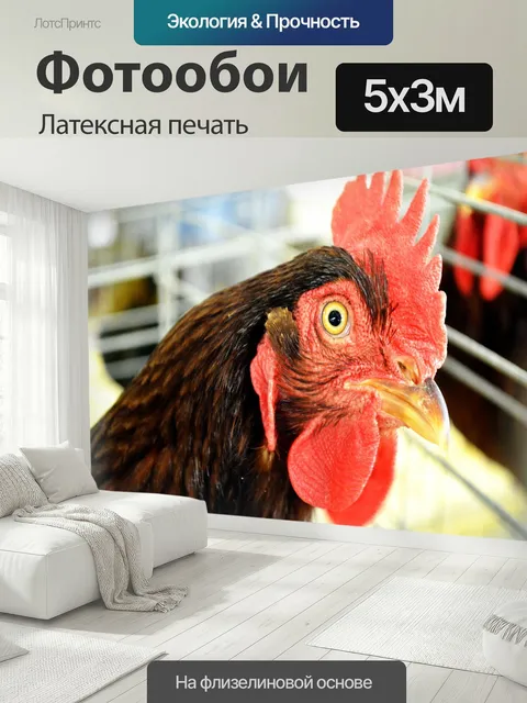 500 × 300 см · Латексная печать