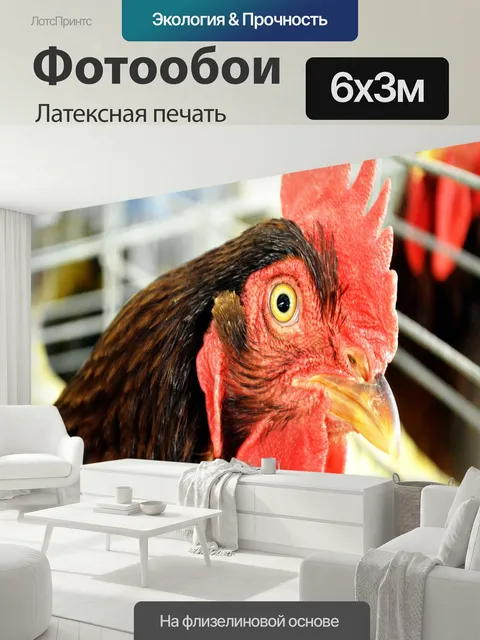 600 × 300 см · Латексная печать