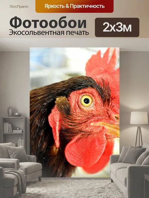 200 × 300 см · Экосольвентная печать