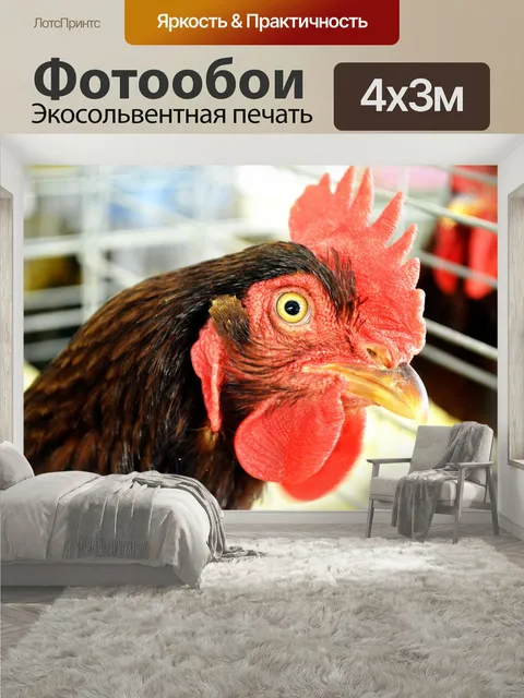 400 × 300 см · Экосольвентная печать
