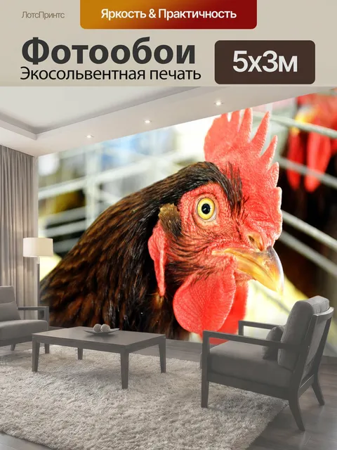 500 × 300 см · Экосольвентная печать