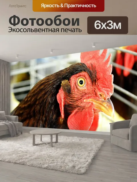 600 × 300 см · Экосольвентная печать