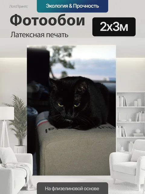 200 × 300 см · Латексная печать
