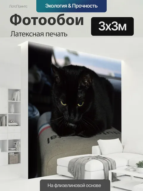 300 × 300 см · Латексная печать