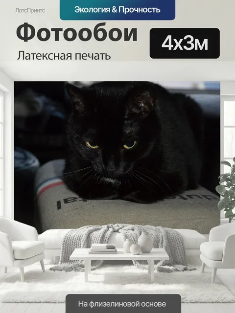 400 × 300 см · Латексная печать