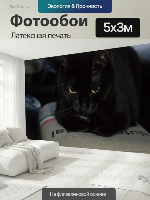 500 × 300 см · Латексная печать