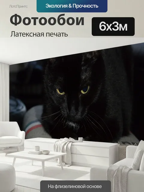 600 × 300 см · Латексная печать