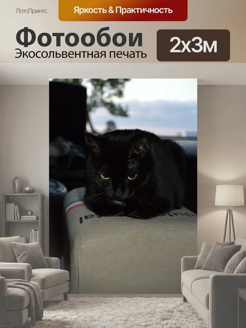 200 × 300 см · Экосольвентная печать