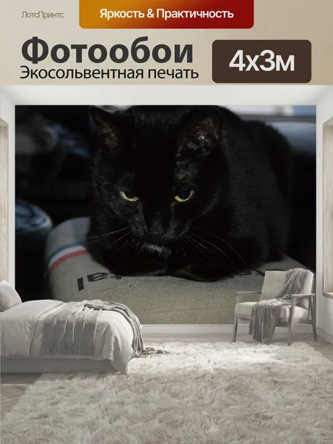 400 × 300 см · Экосольвентная печать
