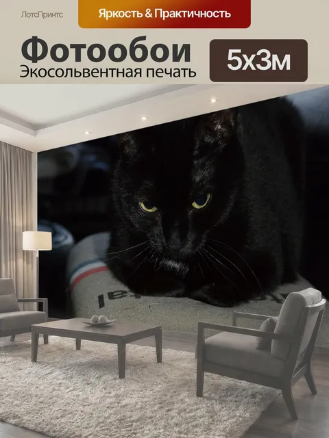500 × 300 см · Экосольвентная печать