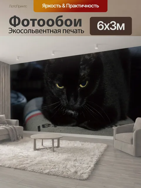 600 × 300 см · Экосольвентная печать