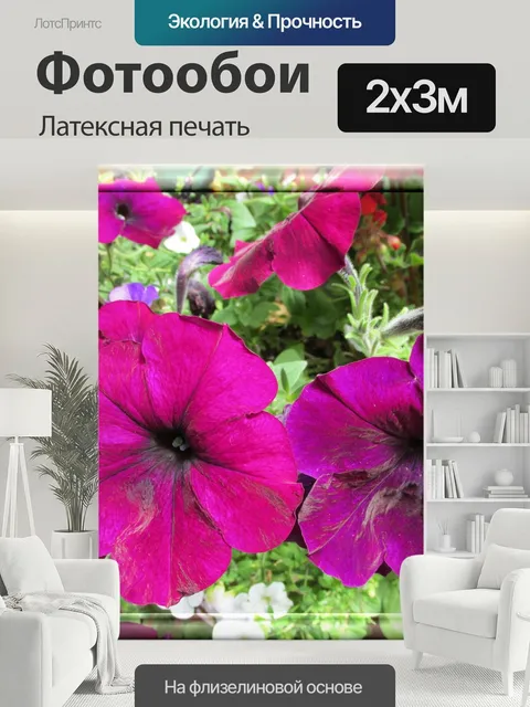 200 × 300 см · Латексная печать