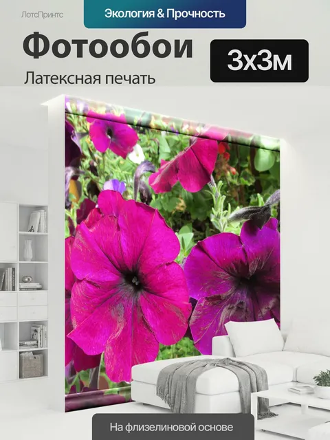 300 × 300 см · Латексная печать