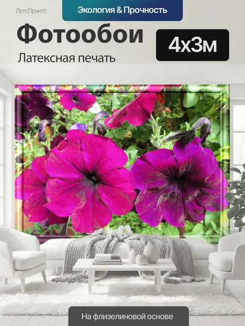 400 × 300 см · Латексная печать