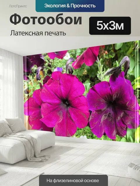 500 × 300 см · Латексная печать