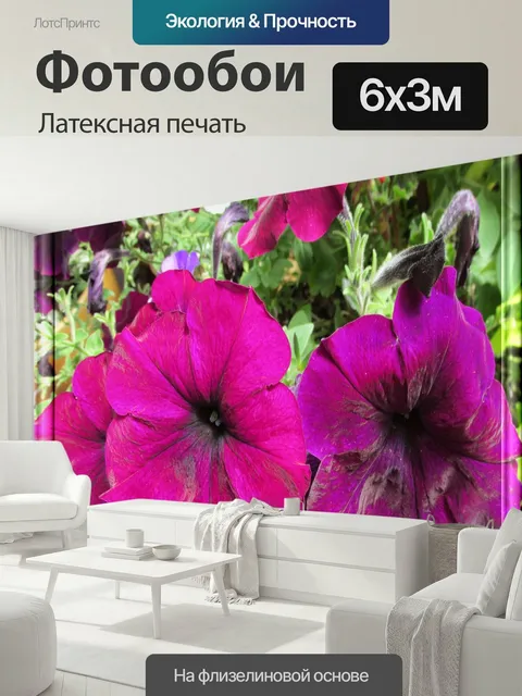 600 × 300 см · Латексная печать
