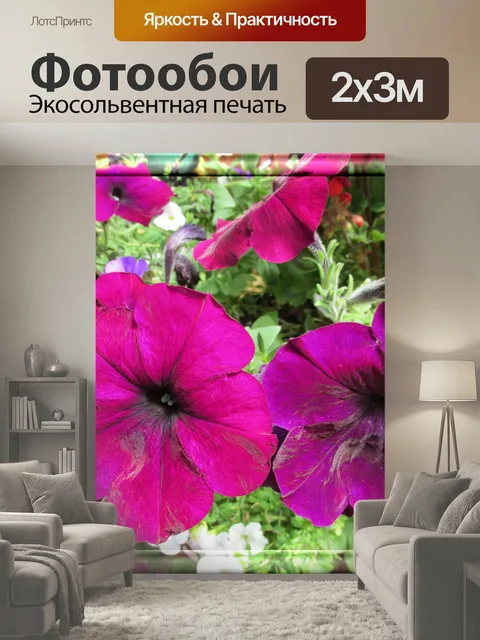 200 × 300 см · Экосольвентная печать