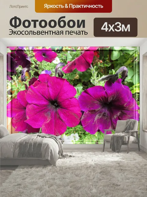 400 × 300 см · Экосольвентная печать