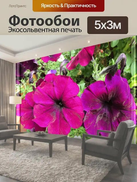 Фотообои Красивые цветы в стеклянной рамки 3d