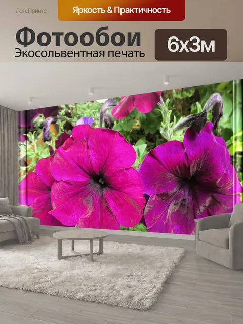 600 × 300 см · Экосольвентная печать