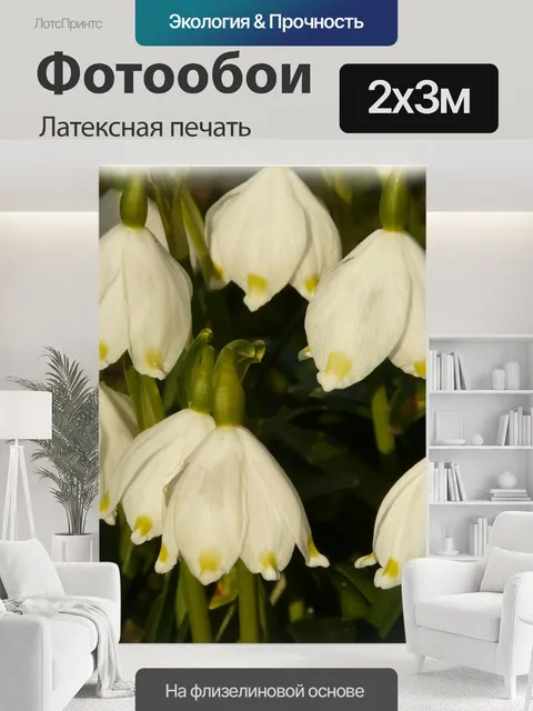 200 × 300 см · Латексная печать