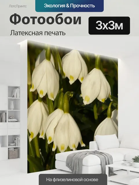 300 × 300 см · Латексная печать