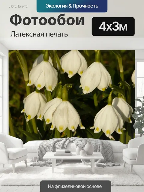 400 × 300 см · Латексная печать