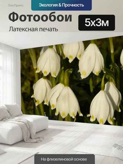 500 × 300 см · Латексная печать