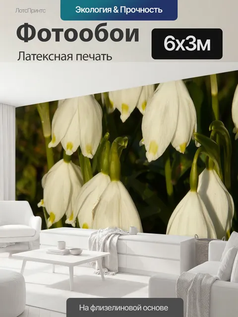 600 × 300 см · Латексная печать