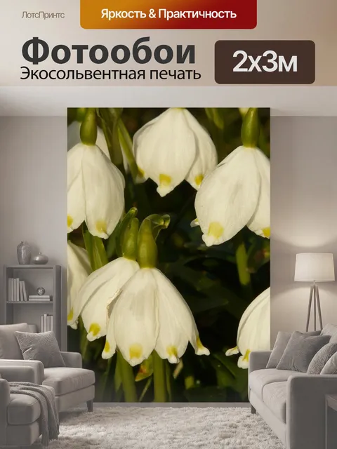 200 × 300 см · Экосольвентная печать
