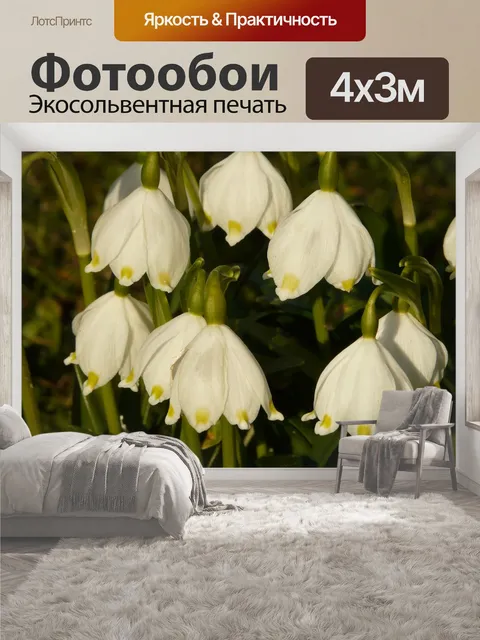 400 × 300 см · Экосольвентная печать