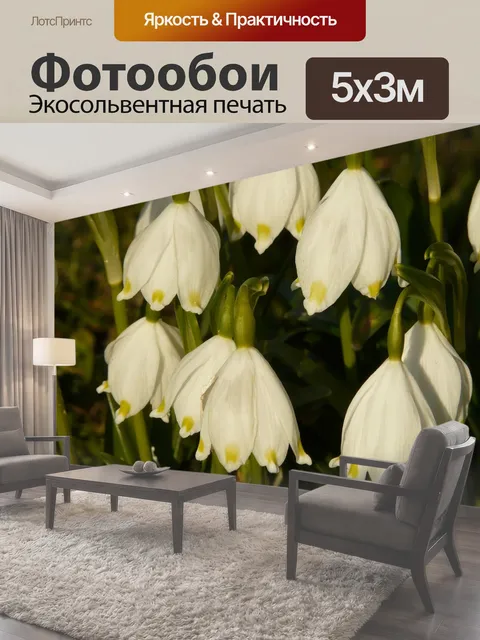 500 × 300 см · Экосольвентная печать
