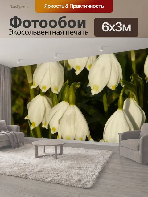 600 × 300 см · Экосольвентная печать