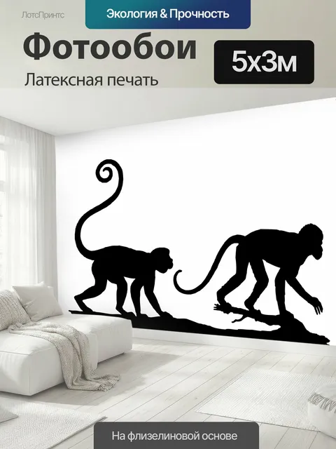 500 × 300 см · Латексная печать