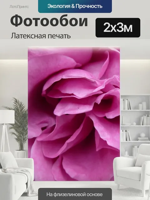 200 × 300 см · Латексная печать