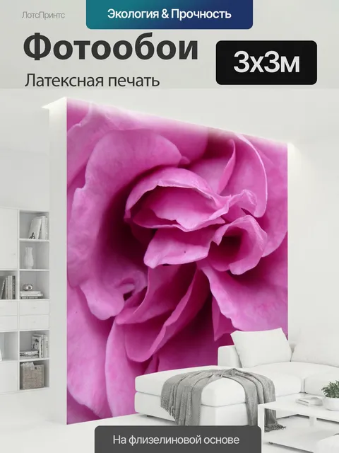 300 × 300 см · Латексная печать