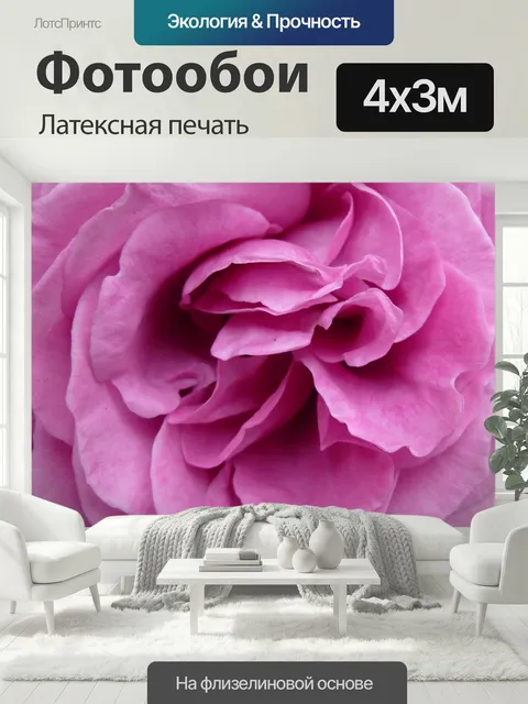 400 × 300 см · Латексная печать