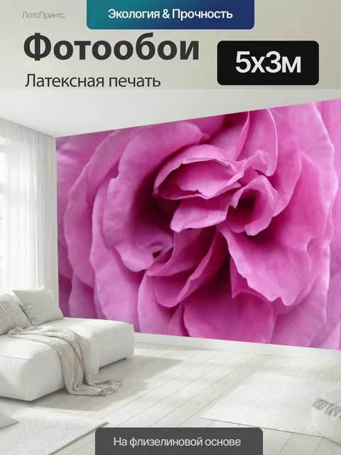 500 × 300 см · Латексная печать