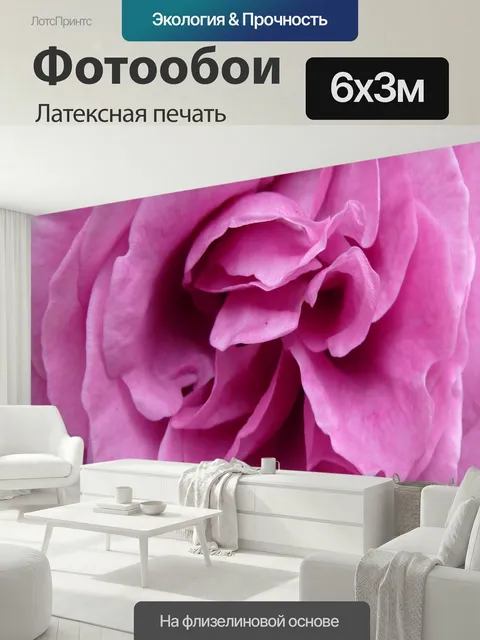600 × 300 см · Латексная печать