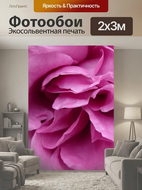200 × 300 см · Экосольвентная печать