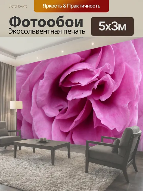 Фотообои Роза Розовая Закрыть Большие розовые розы крупным планом в мягких пастельных тонах розовый цветок цветы…