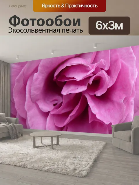 600 × 300 см · Экосольвентная печать
