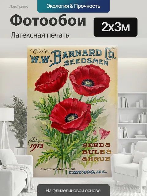 200 × 300 см · Латексная печать